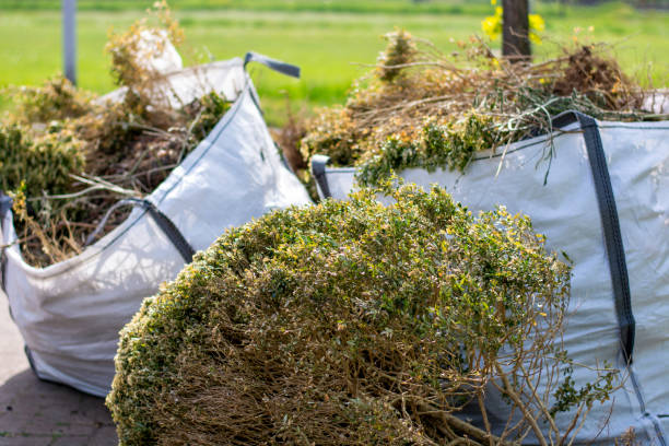 Best Trash Removal Near Me  in Mascot, TN